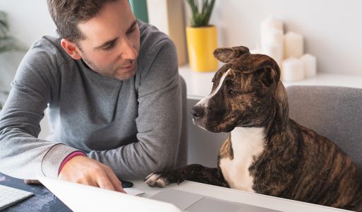 Hvordan bruke tiden til å lage engasjerende innhold
