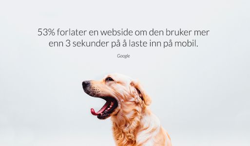 Er nettsiden din treg?