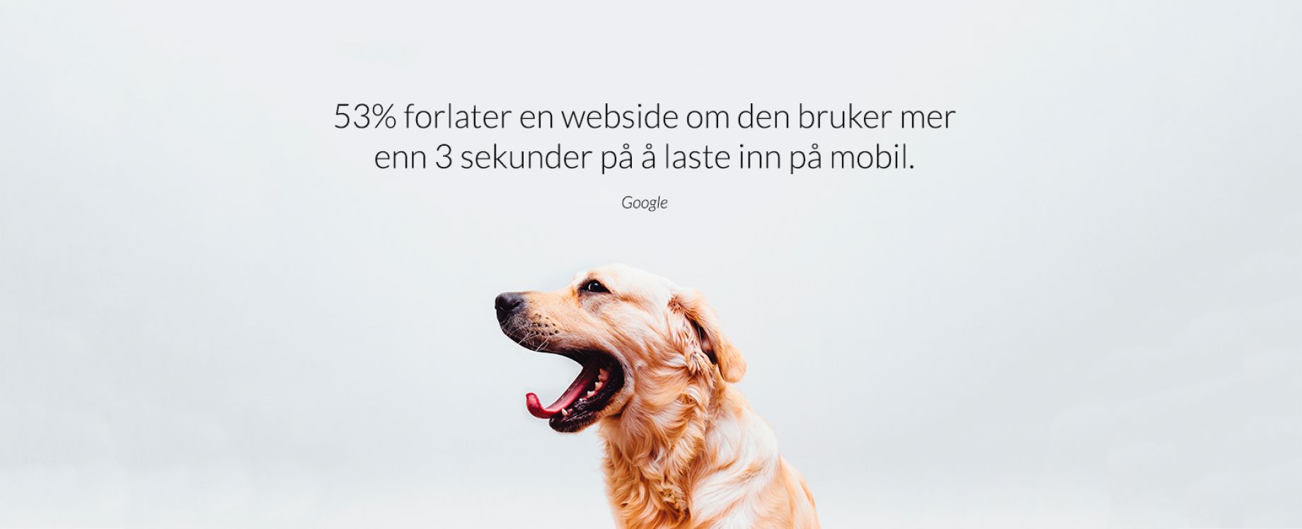 Er nettsiden din treg?