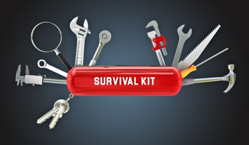 Hvordan overleve som ny bedrift?